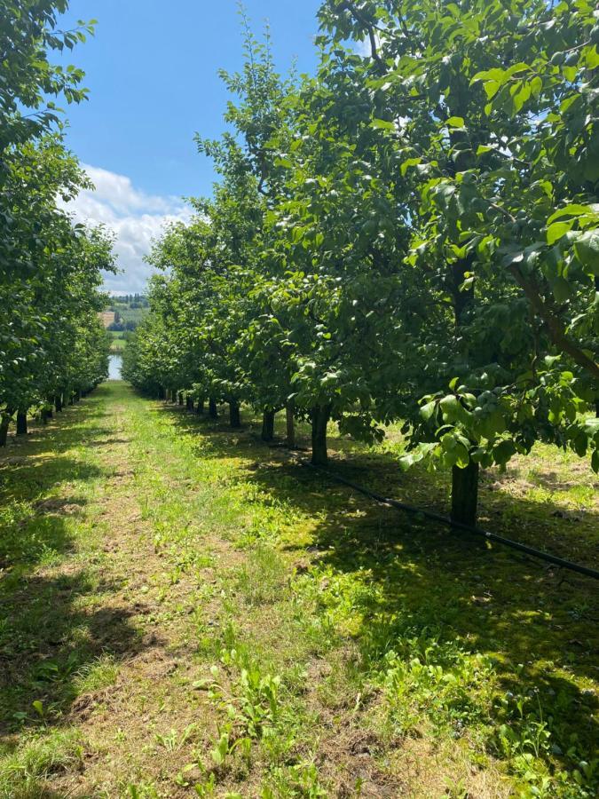 maison 10 personnes à la campagne dans une ferme fruitière uniquement à la semaine Montbarla Esterno foto